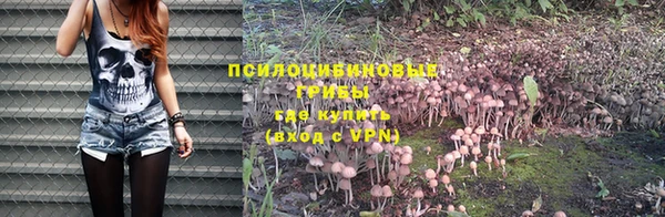 ECSTASY Гусиноозёрск