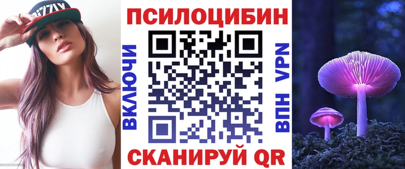 Галлюциногенные грибы Psilocybe  Пересвет 