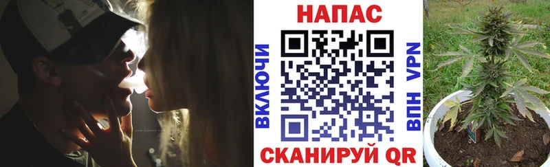 наркота Пересвет KRAKEN ТОР Бошки Шишки OG Kush